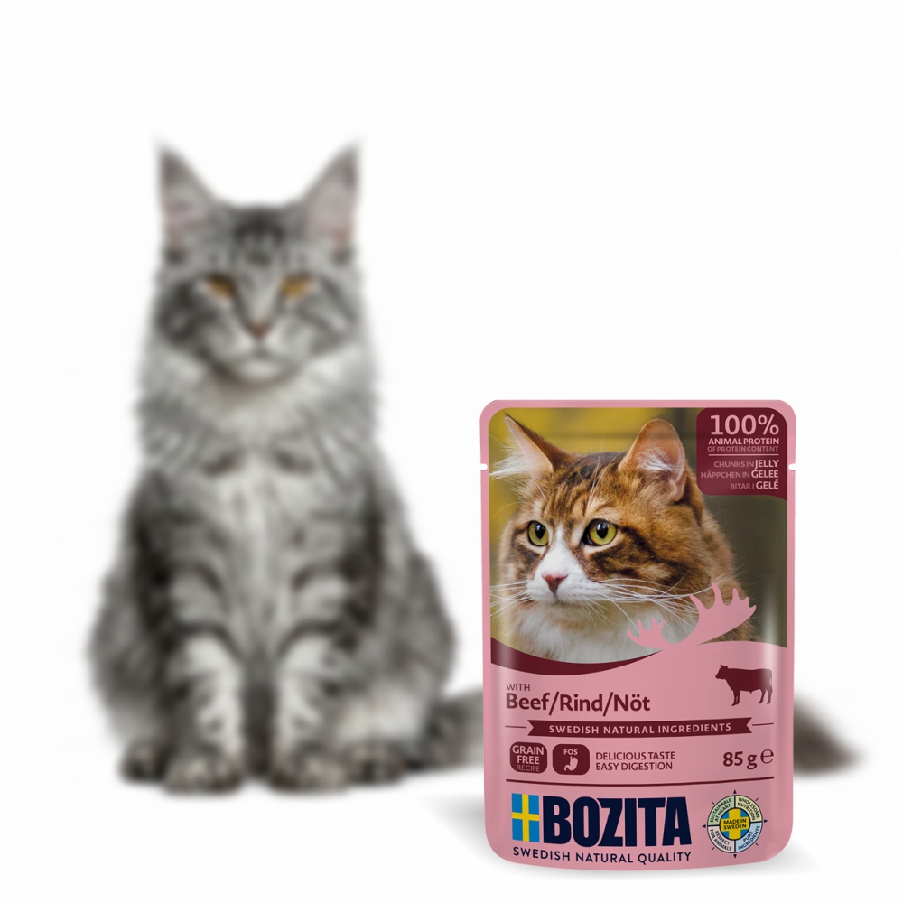BOZITA karma dla kota w galarecie z wołowiną 85g